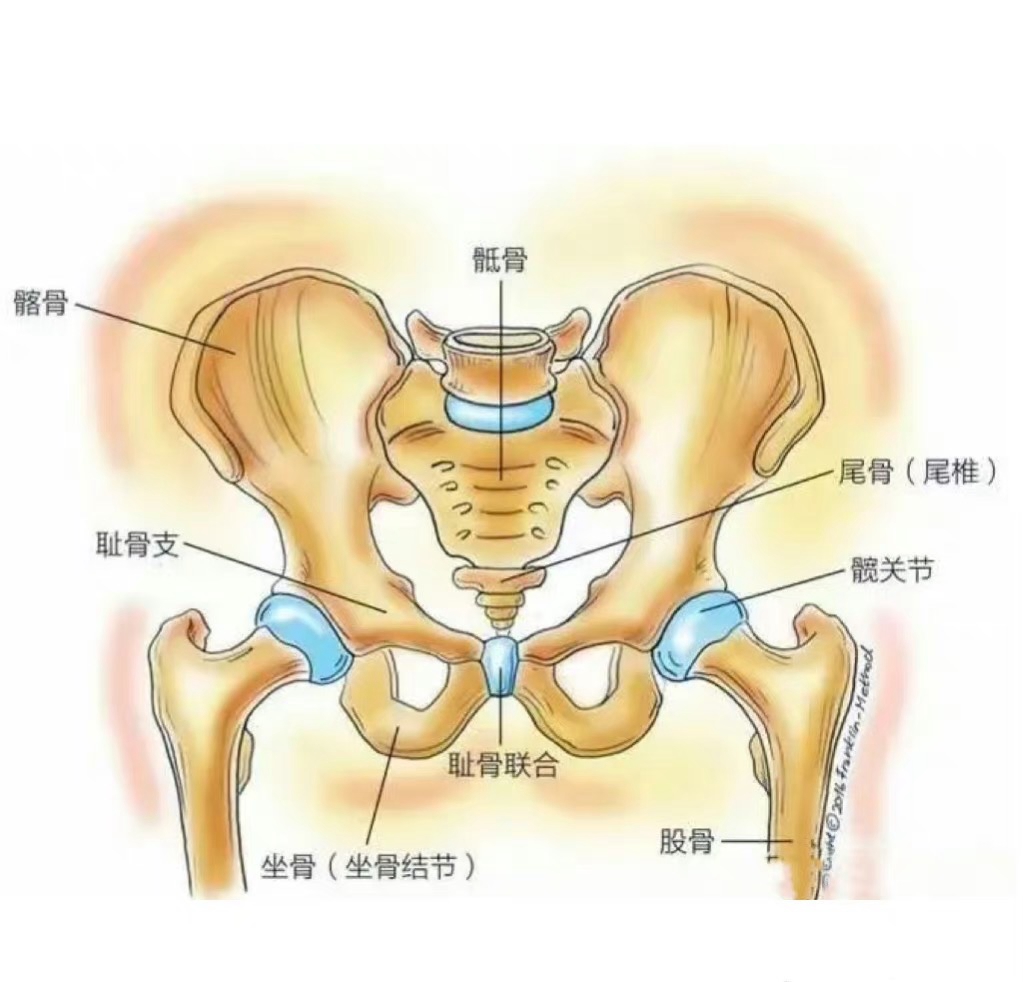 白云产后修复上门电话，33岁宝妈选月盈产后护理骨盆修复厂家